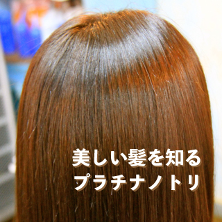 プラチナノトリ